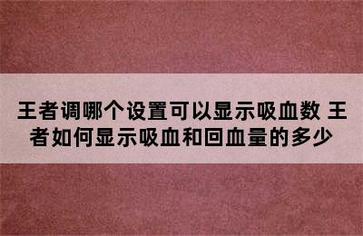 王者调哪个设置可以显示吸血数 王者如何显示吸血和回血量的多少